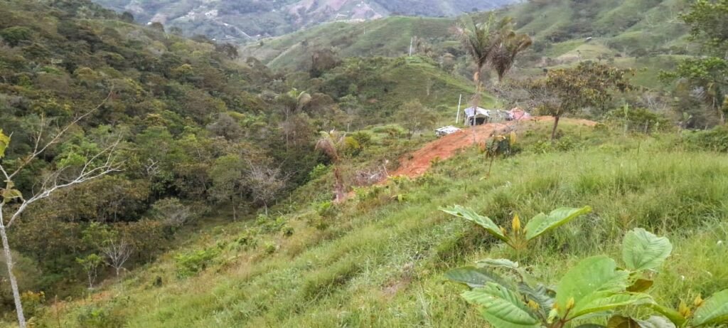 imagen finca lira